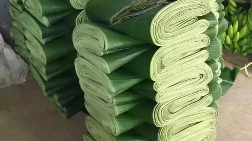 Banana Leaves: The Rising Star of Sustainable Food Packaging